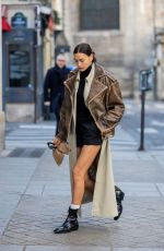 IRINA SHAYK Out and About in Paris 03/01/2023