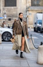 IRINA SHAYK Out and About in Paris 03/01/2023