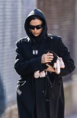 IRINA SHAYK Out with Her Puppy in New York 03/07/2023