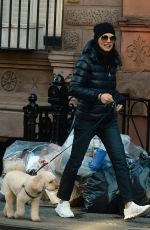 JULIANNA MARGUILES Out with Her Dog in New York 03/06/2023