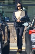 LAURA HARRIER Shopping at Gelson