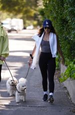 LUCY HALE Walks Her Dogs with a Friend in Studio City 03/24/2023
