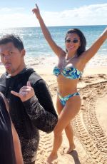NICOLE SCHERZINGER in Bikini at a Beach in Hawaii 03/15/2023