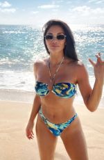 NICOLE SCHERZINGER in Bikini at a Beach in Hawaii 03/15/2023