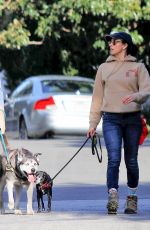 SARAH SILVERMAN and Rory Albanese Out with Their Dogs in Los Angeles 03/06/2023