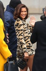 ZENDAYA Arrives at Louis Vuitton Womenswear Fall/winter 2023-2024 Show at Paris Fashion Week 03/06/2023