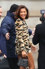 ZENDAYA Arrives at Louis Vuitton Womenswear Fall/winter 2023-2024 Show at Paris Fashion Week 03/06/2023
