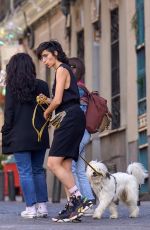 ALBA FLORES Out with Her Dog in Madrid 04/19/2023