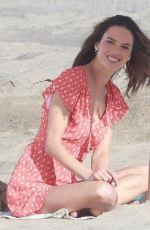 ALESSANDRA AMBROSIO Out with Her Dog at a Beach in Malibu 04/20/2023