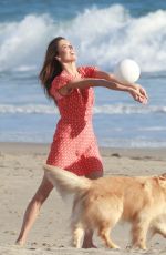 ALESSANDRA AMBROSIO Out with Her Dog at a Beach in Malibu 04/20/2023