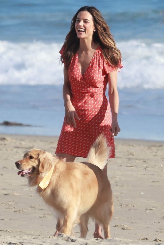 ALESSANDRA AMBROSIO Out with Her Dog at a Beach in Malibu 04/20/2023
