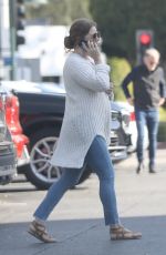AMY ADAMS Out for Grocery Shopping at Bristol Farms in Beverly Hills 04/16/2023