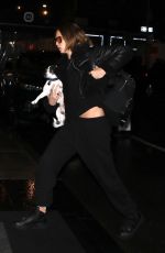 CARA DELEVINGNE with Her Dog Arrives at Her Hotel in New York 04/28/2023