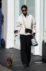 DAIANE SODRE Out with a Mystery Man in New York 04/03/2023