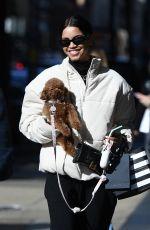 DAIANE SODRE Out with a Mystery Man in New York 04/03/2023