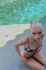 DIXIE D
