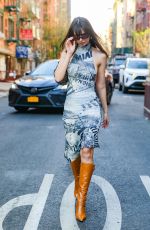 EMILY RATAJKOWSKI Out for Dinner at Le Dive in New York 04/13/2023