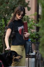 EMILY RATAJKOWSKI Out with Her Dog in New York 04/12/2023