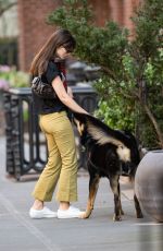 EMILY RATAJKOWSKI Out with Her Dog in New York 04/12/2023