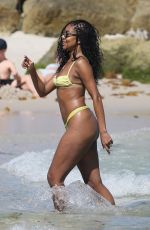 GABRIELLE UNION in Bikini at a Beach in Miami 04/07/2023
