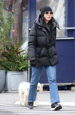 JULIANNA MARQUILES Out with Her Dog in New York 03/31/2023
