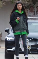 KELLY GALE and Joel Kinnaman Picks up Brunch at Sun Life Juicery in Malibu 04/28/2023