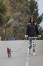 KELLY GALE Out with Her Dog for a Morning Stroll in Venice Beach 04/17/2023