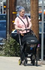 KELLY OSBOURNE Out for Lunch at Beverly Hills Hotel 04/10/2023