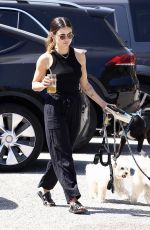 LUCY HALE Out with Her Dogs at a Park in Los Angeles 04/23/2023