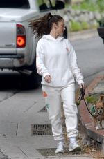 MINKA KELLY Out on a Dog Walk in Los Angeles 04/13/2023