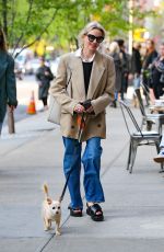 NAOMI WATTS Out with Her Dog in New York 04/26/2023