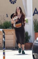 SCOUT WILLIS Out with Her Dog for Green Juice in Los Feliz 04/27/2023