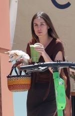 SCOUT WILLIS Out with Her Dog for Green Juice in Los Feliz 04/27/2023