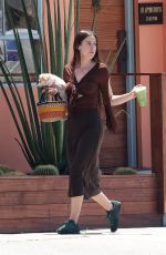 SCOUT WILLIS Out with Her Dog for Green Juice in Los Feliz 04/27/2023