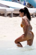 TERESA GIUDICE in Bikini at a Beach in St Barths 04/07/2023