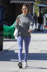 ALESSANDRA AMBROSIO Out for Lunch with a Friend at Tartine in Santa Monica 05/12/2023
