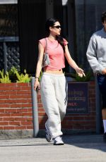 AMELIA HAMLIN Out for Coffee with a Friend in Los Angeles 05/08/2023 