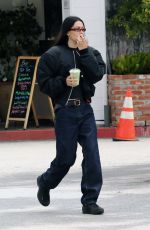 AMELIA HAMLIN Out to Starbucks for Iced Matcha in Los Angeles 05/11/2023