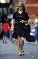CHLOE SEVIGNY Out and About in New York 05/14/2023