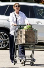 ELLEN POMPEO Shopping for Groceries at Erewhon in Los Angeles 05/12/2023