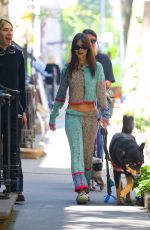 EMILY RATAJKOWSKI Out with Her Dog in New York 05/26/2023
