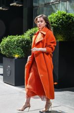 HAILEE STEINFELD Out and About in New York 05/25/2023