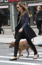 JESSICA BIEL Out with Her Dog in New York 05/18/2023