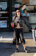 JULIA FOX Out and About in Los Angeles 05/12/2023
