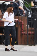 JULIANNE MOORE and Bart Freundlich Out on Mother