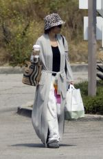 LISA RINNA Out Shopping in Los Angeles 05/21/2023