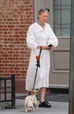 NAOMI WATTS Out with Her Dog in New York 05/22/2023