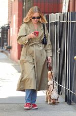 SAILOR BRINKLEY Out with Her Dog in New York 05/17/2023