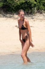 STELLA AMXWELL in Bikini at a Beach with Some Friends 05/29/2022