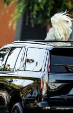 ALABAMA BARKER Standing Out of Sunroof of Her Cadillac Escalade SUV in Calabasas 06/26/2023